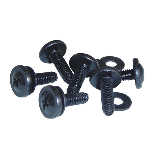 [0.0][SCR-0010-PH] TORNILLOS PHILLIPS PARA RACK Y BRACKET 10 PACK